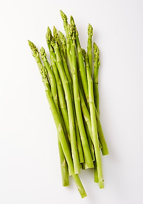 포토 JPG 스튜디오촬영 채소 실내 사람없음 여러개 신선 아스파라거스 국내포토 다수 내부 파일형식