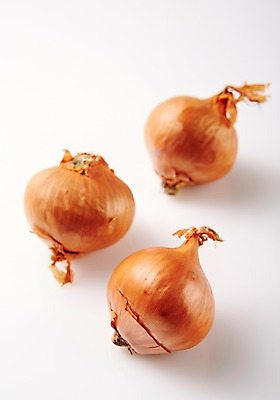 포토 JPG 스튜디오촬영 채소 양파 실내 사람없음 신선 세개 국내포토 3 내부 파일형식