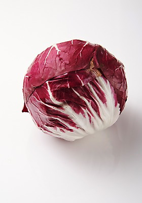 포토 JPG 스튜디오촬영 채소 실내 사람없음 한개 신선 적양배추 국내포토 1 내부 양배추 파일형식