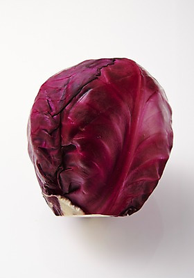 포토 JPG 스튜디오촬영 채소 실내 사람없음 한개 신선 적양배추 국내포토 1 내부 양배추 파일형식