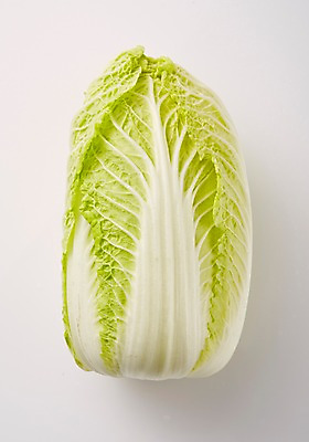 포토 JPG 스튜디오촬영 채소 실내 사람없음 한개 신선 배추 국내포토 1 내부 파일형식