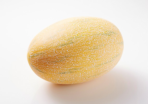 포토 JPG 스튜디오촬영 채소 호박 실내 사람없음 한개 신선 늙은호박 국내포토 1 내부 파일형식