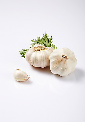 포토 JPG 스튜디오촬영 채소 실내 마늘 사람없음 신선 쑥갓 통마늘 국내포토 내부 파일형식