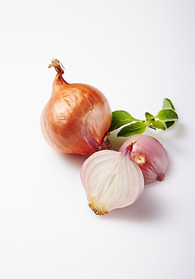 포토 JPG 스튜디오촬영 채소 양파 실내 사람없음 신선 슬라이스 샬롯 국내포토 내부 파일형식