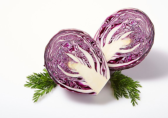 포토 JPG 스튜디오촬영 채소 실내 사람없음 신선 슬라이스 쑥갓 적양배추 국내포토 내부 양배추 파일형식