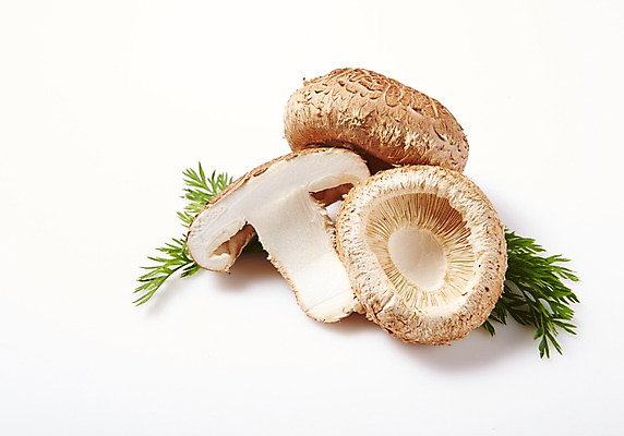 포토 JPG 스튜디오촬영 채소 실내 사람없음 버섯 신선 세개 쑥갓 표고버섯 국내포토 3 내부 파일형식