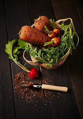 포토 JPG 스튜디오촬영 채소 실내 사람없음 하이앵글 바구니 여러개 흙 당근 신선 모종삽 적환무 국내포토 뷰포인트 다수 뿌리채소 내부 무 삽 파일형식