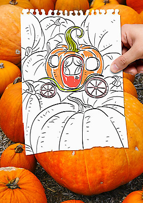 손 음식 포토일러 호박 신체부위 스케치 스케치북 호박마차 이미지편집 AI파일 편집이미지 채소 학용품 미술 사람 마차 파일형식 벡터