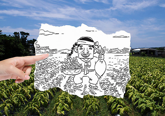 구름 손 남자 밭 포토일러 하늘 한명 성인 바구니 수확 농부 무 스케치 스케치북 유기농 마당쇠 이미지편집 AI파일 자연요소 편집이미지 직업 1 웰빙 농업 학용품 뿌리채소 미술 사람 신체부위 신분 파일형식 벡터