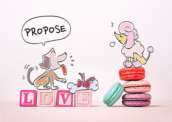 리본 음식 말풍선 프로포즈 포토일러 사랑 사람없음 블록 강아지 마카롱 개뼈다귀 반려 이미지편집 AI파일 편집이미지 감정 디저트 반려동물 개 애견간식 파일형식 벡터