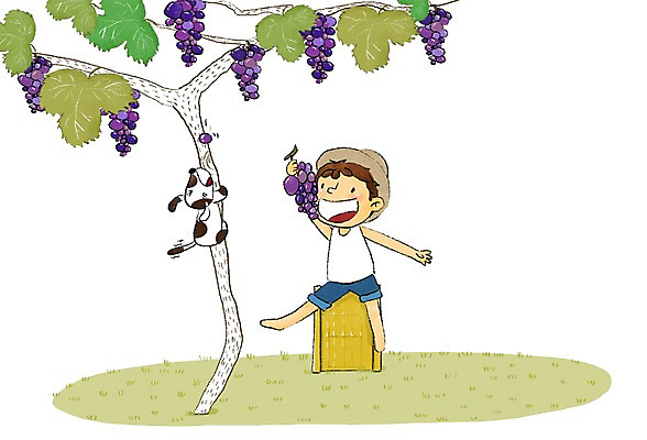 PSD 남자 어린이 일러스트 포도 한명 여름 강아지 즐거움 포도나무 국내일러스트 1 계절 감정 과일 사람 반려동물 개 과일나무 파일형식