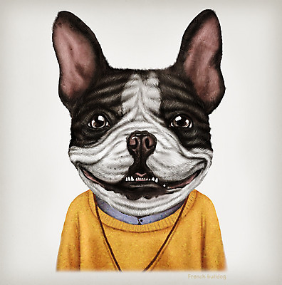 PSD 동물 옷 패션 일러스트 의인화 사람없음 초상화 프렌치불독 국내일러스트 그림 불독 파일형식