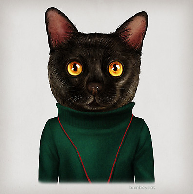 PSD 동물 옷 패션 일러스트 의인화 사람없음 고양이 터틀넥 초상화 봄베이 국내일러스트 포유류 반려동물 스웨터 그림 파일형식