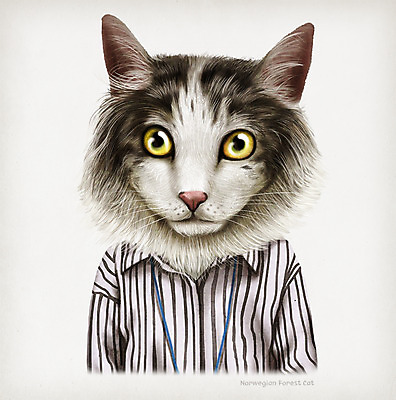 PSD 동물 옷 패션 셔츠 일러스트 의인화 사람없음 초상화 노르웨이숲고양이 국내일러스트 상의 고양이 그림 파일형식