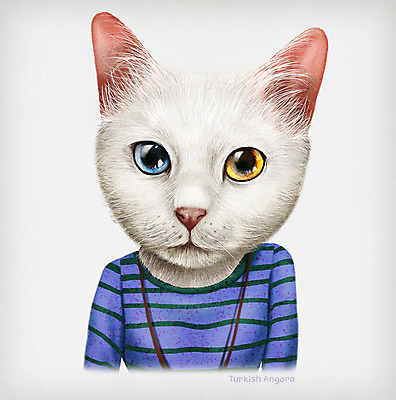 PSD 동물 옷 패션 일러스트 의인화 사람없음 터키시앙고라 초상화 국내일러스트 고양이 그림 파일형식