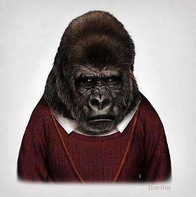 PSD 동물 옷 패션 일러스트 의인화 사람없음 스웨터 고릴라 초상화 국내일러스트 상의 포유류 그림 파일형식