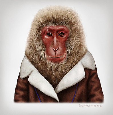 PSD 동물 옷 패션 일러스트 의인화 사람없음 초상화 일본원숭이 국내일러스트 원숭이 그림 파일형식