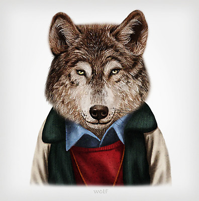 PSD 동물 옷 패션 일러스트 의인화 사람없음 늑대 초상화 국내일러스트 포유류 그림 파일형식