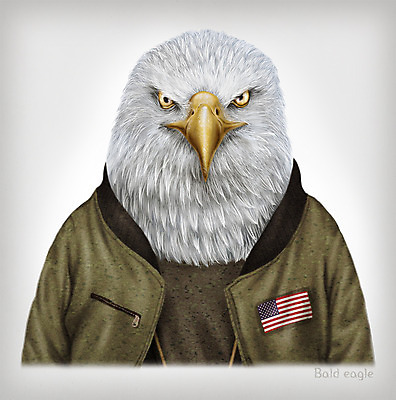 PSD 동물 옷 패션 일러스트 의인화 사람없음 독수리 초상화 흰머리독수리 국내일러스트 조류 그림 파일형식