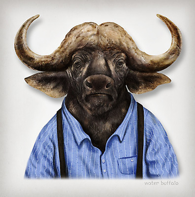 PSD 동물 옷 패션 일러스트 의인화 사람없음 버팔로 초상화 국내일러스트 소 그림 파일형식