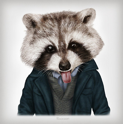 PSD 동물 옷 패션 일러스트 의인화 사람없음 초상화 라쿤 국내일러스트 그림 너구리 파일형식