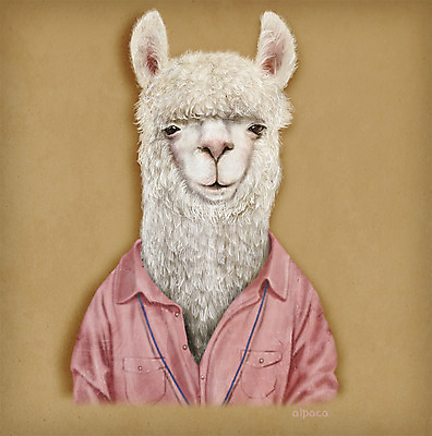 PSD 동물 옷 패션 일러스트 의인화 사람없음 초상화 알파카 국내일러스트 그림 파일형식
