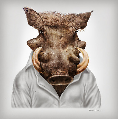 PSD 동물 옷 패션 일러스트 의인화 사람없음 멧돼지 초상화 흑멧돼지 국내일러스트 포유류 그림 파일형식