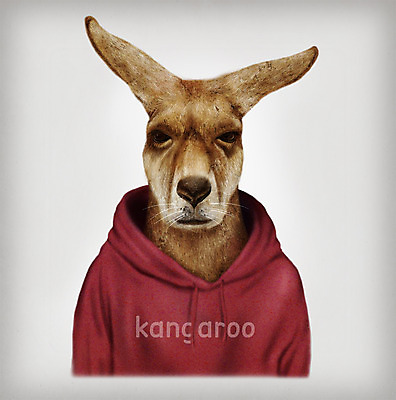 PSD 동물 옷 패션 일러스트 의인화 사람없음 캥거루 후드티셔츠 초상화 국내일러스트 티셔츠 포유류 그림 파일형식