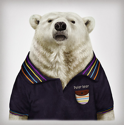 PSD 동물 옷 패션 일러스트 의인화 사람없음 반팔티셔츠 북극곰 초상화 국내일러스트 티셔츠 곰 그림 파일형식