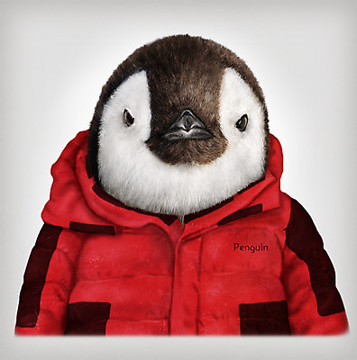 PSD 동물 옷 패션 일러스트 의인화 사람없음 펭귄 패딩 초상화 국내일러스트 조류 점퍼 그림 파일형식