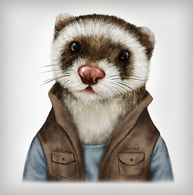 PSD 동물 옷 패션 일러스트 의인화 사람없음 초상화 페럿 국내일러스트 포유류 그림 파일형식