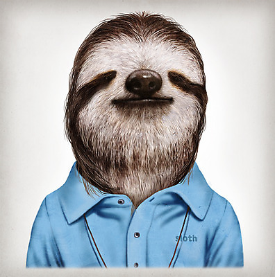 PSD 동물 옷 패션 일러스트 의인화 사람없음 초상화 나무늘보 국내일러스트 그림 파일형식