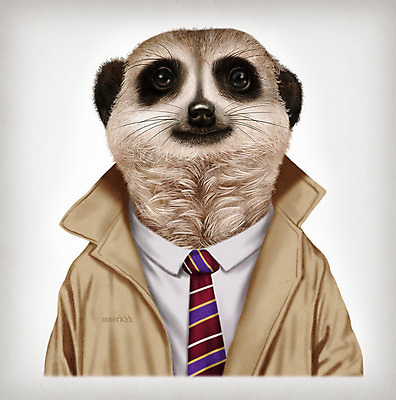 PSD 동물 옷 패션 일러스트 넥타이 의인화 사람없음 코트 초상화 미어캣 국내일러스트 잡화 외투 그림 파일형식