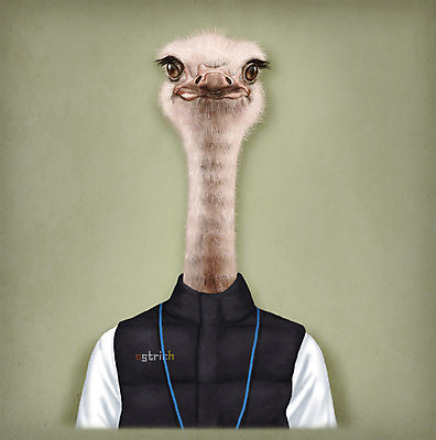 PSD 동물 옷 패션 일러스트 의인화 사람없음 조끼 타조 초상화 국내일러스트 조류 외투 그림 파일형식