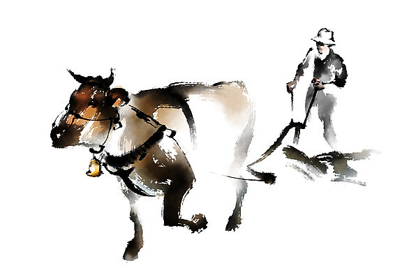 PSD 한마리 한국전통 남자 전통문화 일러스트 캘리그라피 한명 성인 농사 소 농부 농기구 밭갈기 국내일러스트 직업 1 전통 문화 농업 포유류 한국 사람 파일형식