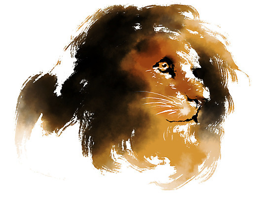 PSD 동물 한마리 얼굴 일러스트 캘리그라피 사람없음 사자 맹수 국내일러스트 1 포유류 신체부위 파일형식