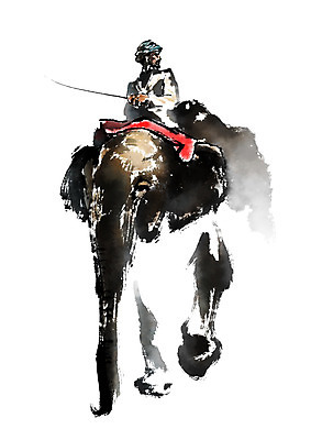 PSD 한마리 남자 일러스트 캘리그라피 코끼리 한명 사람 앉기 상반신 성인 코끼리트래킹 국내일러스트 1 포유류 모션 파일형식