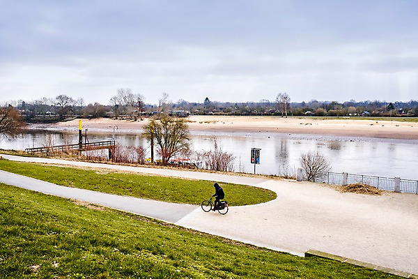 포토 JPG 주간 외국인 나무 독일 한명 풍경 야외 강 자전거 보행자 브레멘 베저강 국내포토 자연요소 식물 1 유럽 사람 인종 바이크 파일형식