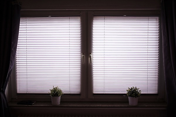 포토 JPG 화분 창문 독일 실내 풍경 사람없음 커튼 브레멘 국내포토 유럽 내부 파일형식