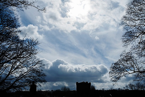 포토 JPG 나무 구름 하늘 독일 풍경 사람없음 브레멘 국내포토 자연요소 식물 유럽 파일형식