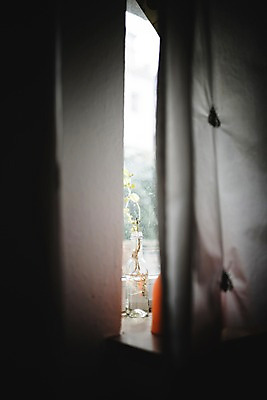 포토 JPG 독일 실내 풍경 사람없음 꽃병 틈 브레멘 국내포토 꽃 유럽 내부 파일형식