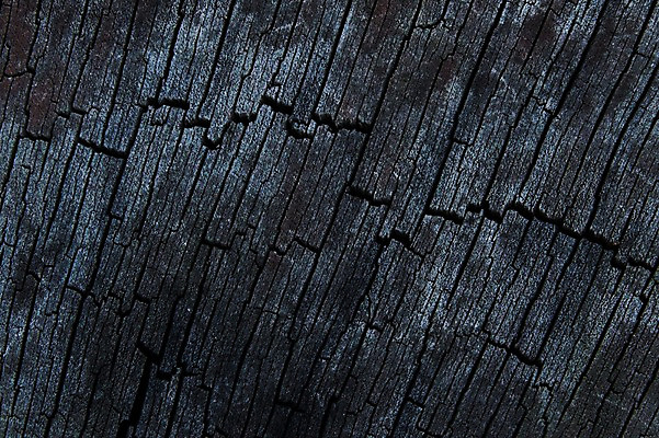 포토 JPG 백그라운드 근접촬영 사람없음 목재 나뭇결 질감 나무벽 우드 국내포토 나무 벽 뷰포인트 재료 파일형식