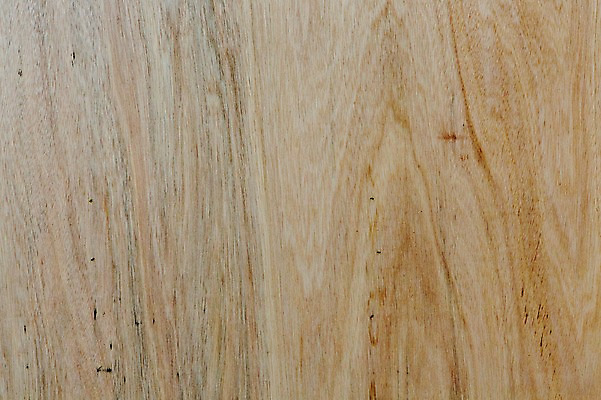 포토 JPG 백그라운드 근접촬영 사람없음 목재 나뭇결 질감 나이테 나무벽 우드 국내포토 나무 벽 뷰포인트 재료 파일형식