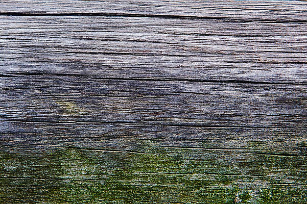 포토 JPG 나무 백그라운드 표면 근접촬영 사람없음 목재 나뭇결 거친 질감 나무벽 우드 국내포토 식물 벽 뷰포인트 재료 파일형식