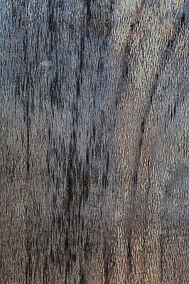 포토 JPG 나무 백그라운드 표면 근접촬영 사람없음 목재 나뭇결 거친 질감 나무벽 우드 국내포토 식물 벽 뷰포인트 재료 파일형식