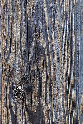 포토 JPG 나무 백그라운드 표면 근접촬영 사람없음 목재 나뭇결 거친 질감 나무벽 우드 국내포토 식물 벽 뷰포인트 재료 파일형식