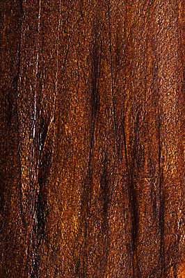 포토 JPG 백그라운드 근접촬영 사람없음 목재 나뭇결 질감 나무벽 우드 국내포토 나무 벽 뷰포인트 재료 파일형식