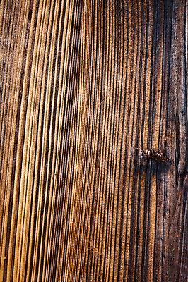 포토 JPG 백그라운드 근접촬영 사람없음 목재 나뭇결 질감 나무벽 우드 국내포토 나무 벽 뷰포인트 재료 파일형식