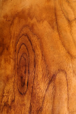 포토 JPG 백그라운드 근접촬영 사람없음 목재 나뭇결 갈색 질감 나무벽 우드 국내포토 나무 벽 뷰포인트 컬러 재료 파일형식