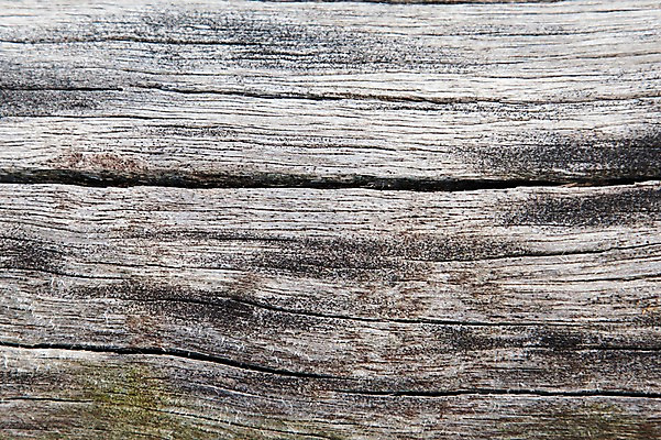 포토 JPG 백그라운드 근접촬영 사람없음 목재 나뭇결 질감 나무벽 우드 국내포토 나무 벽 뷰포인트 재료 파일형식